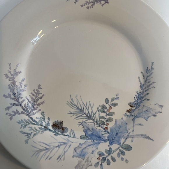 Pfaltzgraff Winter Frost Dinner Plate - Picture 2 of 8